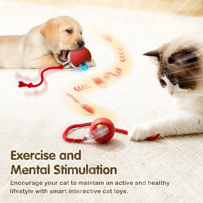 SmartPaw™ Interactive Rolling Cat Ball with Tail – Rechargeable Automatic Pet Toy