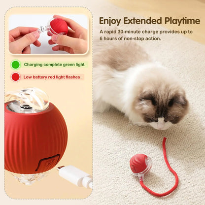 SmartPaw™ Interactive Rolling Cat Ball with Tail – Rechargeable Automatic Pet Toy